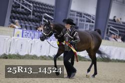 25R13_14524 proof