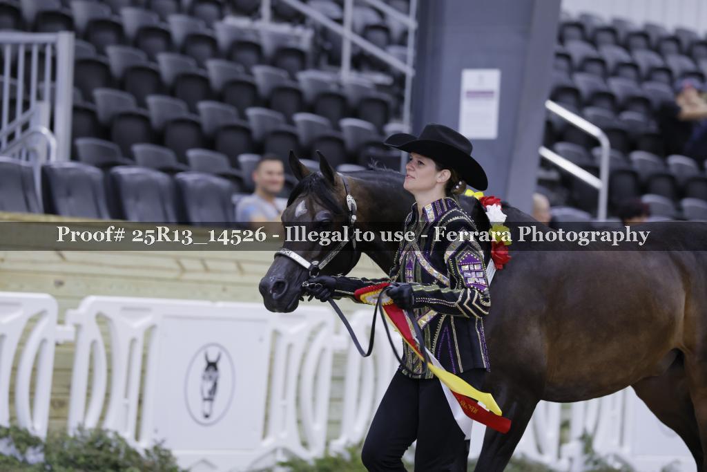 Proof 25R13_14526