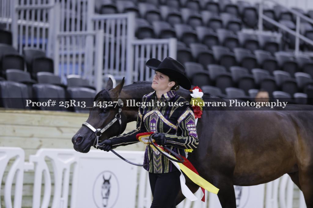 Proof 25R13_14527