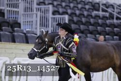 25R13_14527 proof