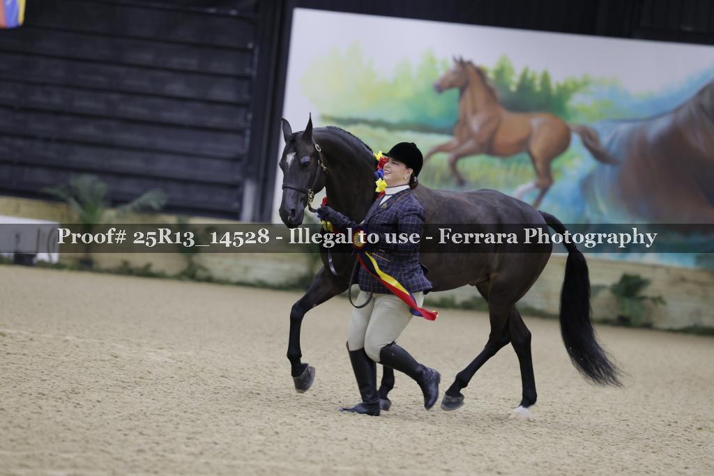 Proof 25R13_14528