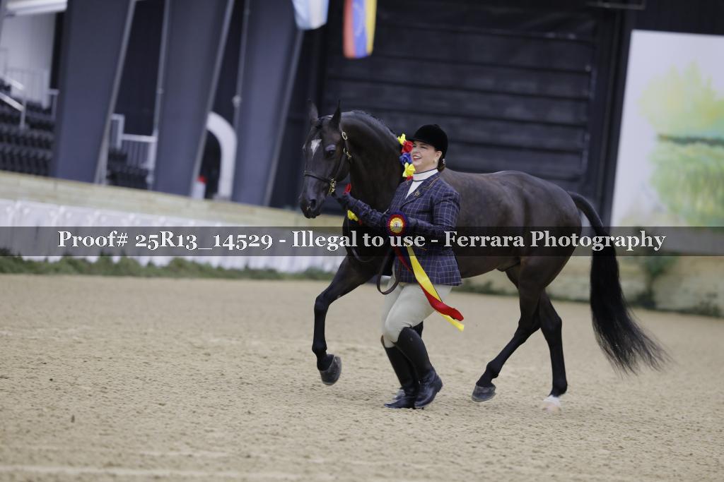 Proof 25R13_14529