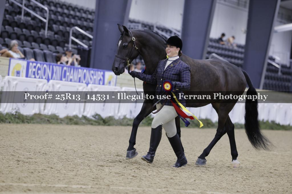 Proof 25R13_14531
