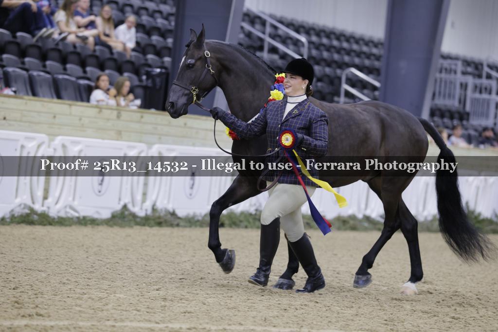 Proof 25R13_14532