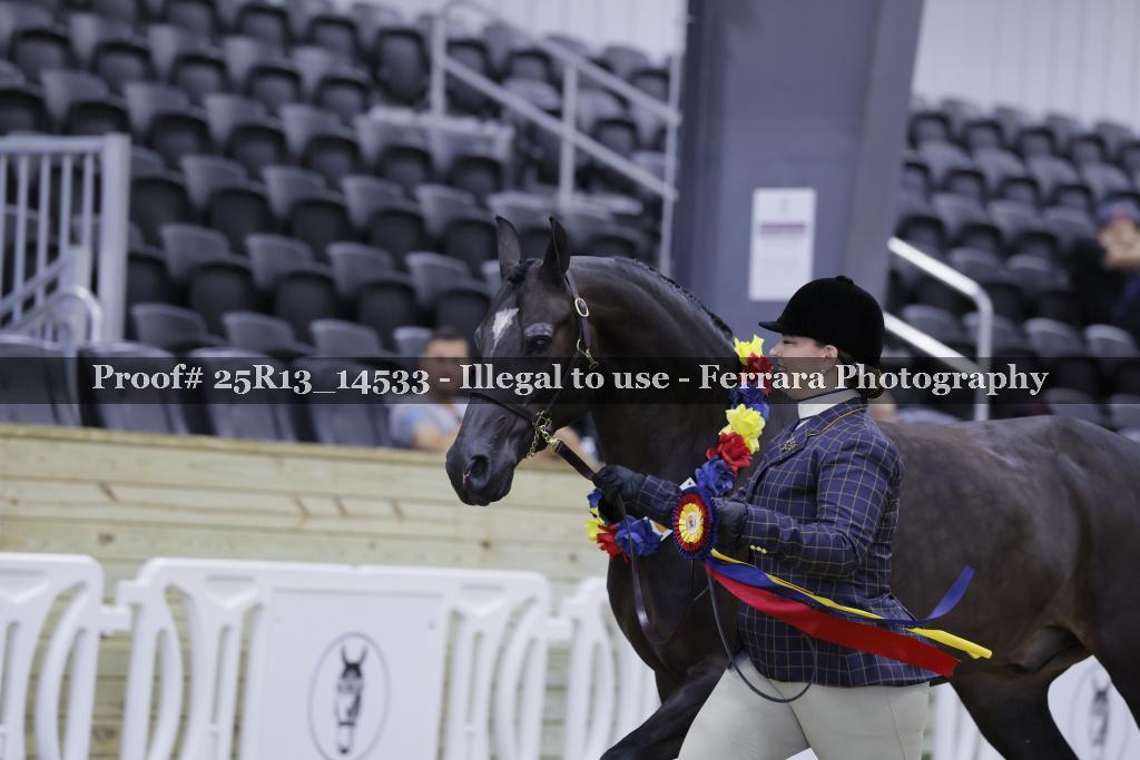 Proof 25R13_14533
