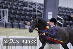 25R13_14533 proof