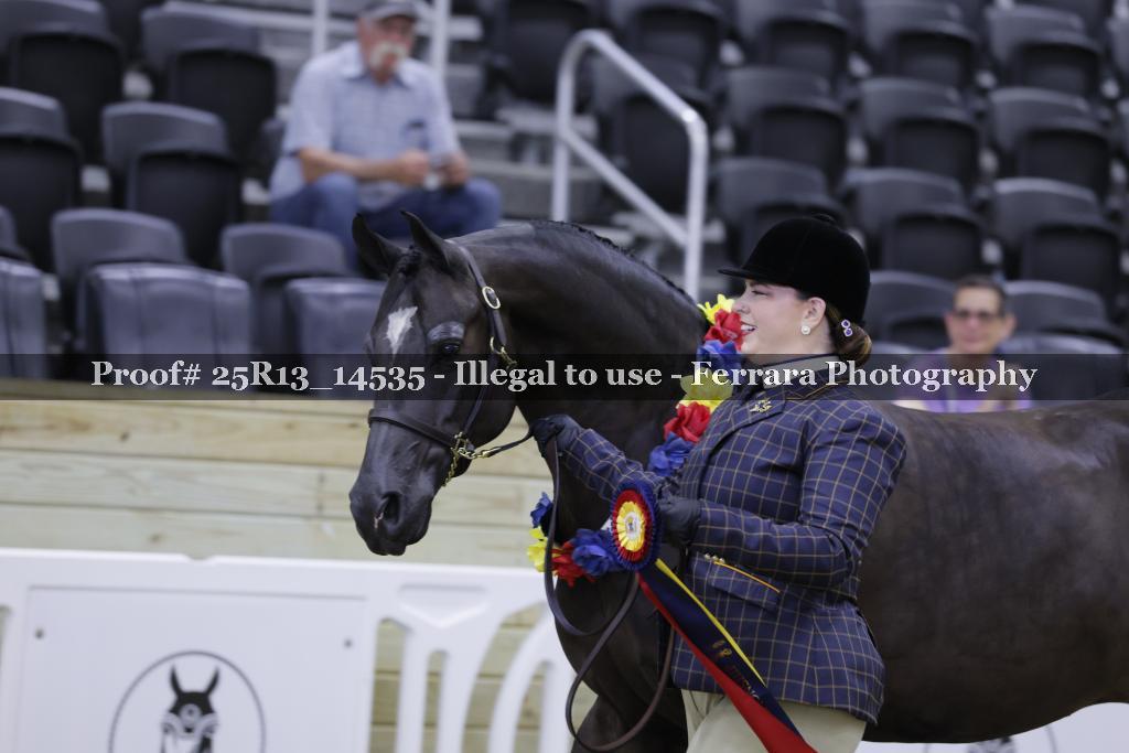 Proof 25R13_14535