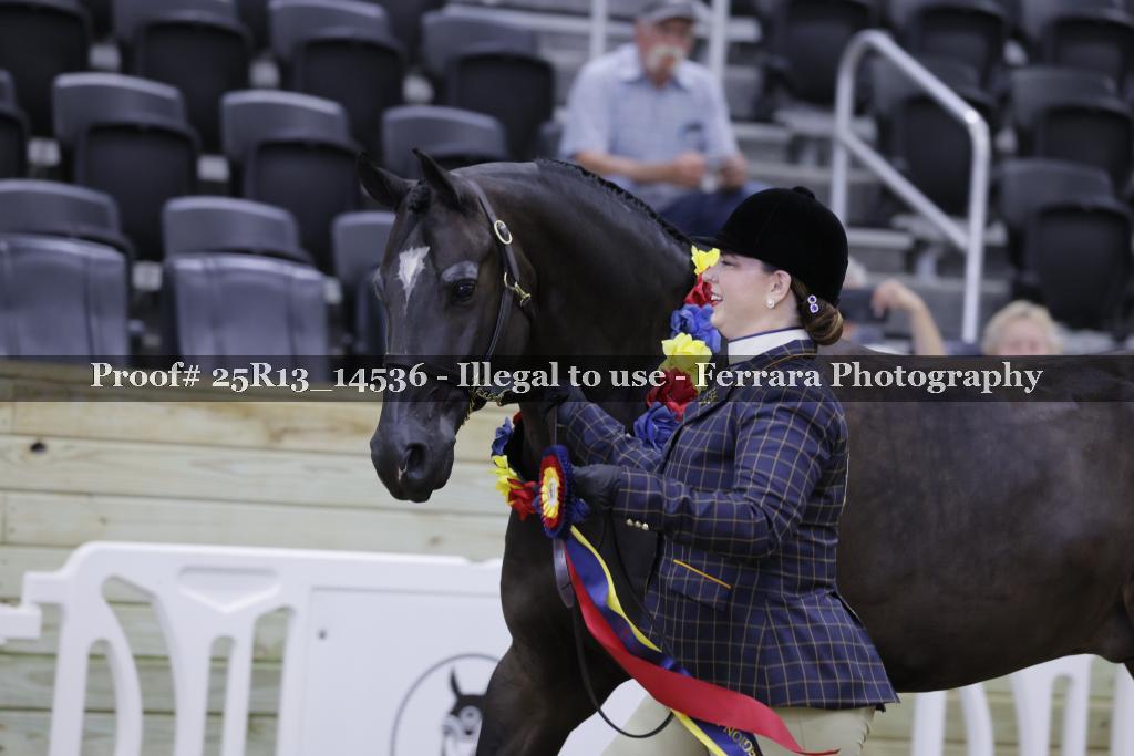 Proof 25R13_14536
