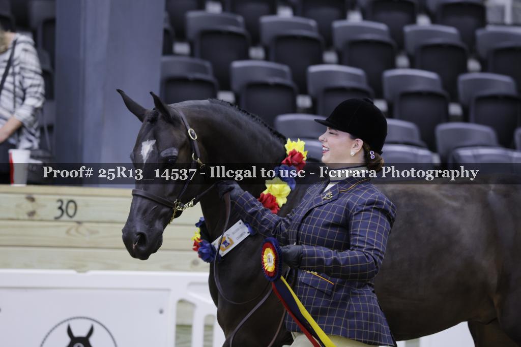 Proof 25R13_14537