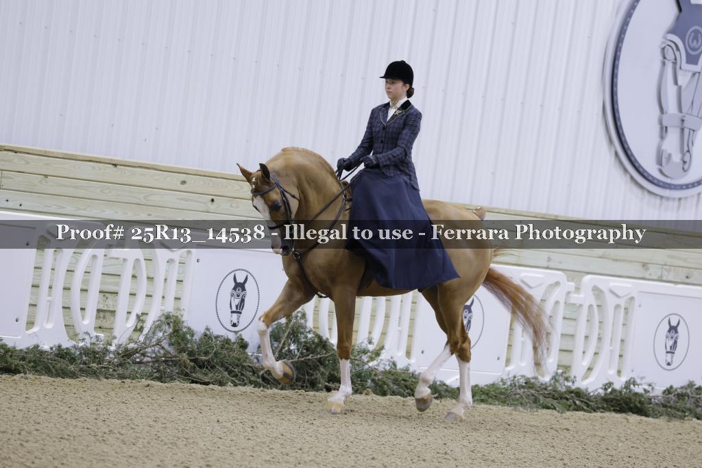 Proof 25R13_14538