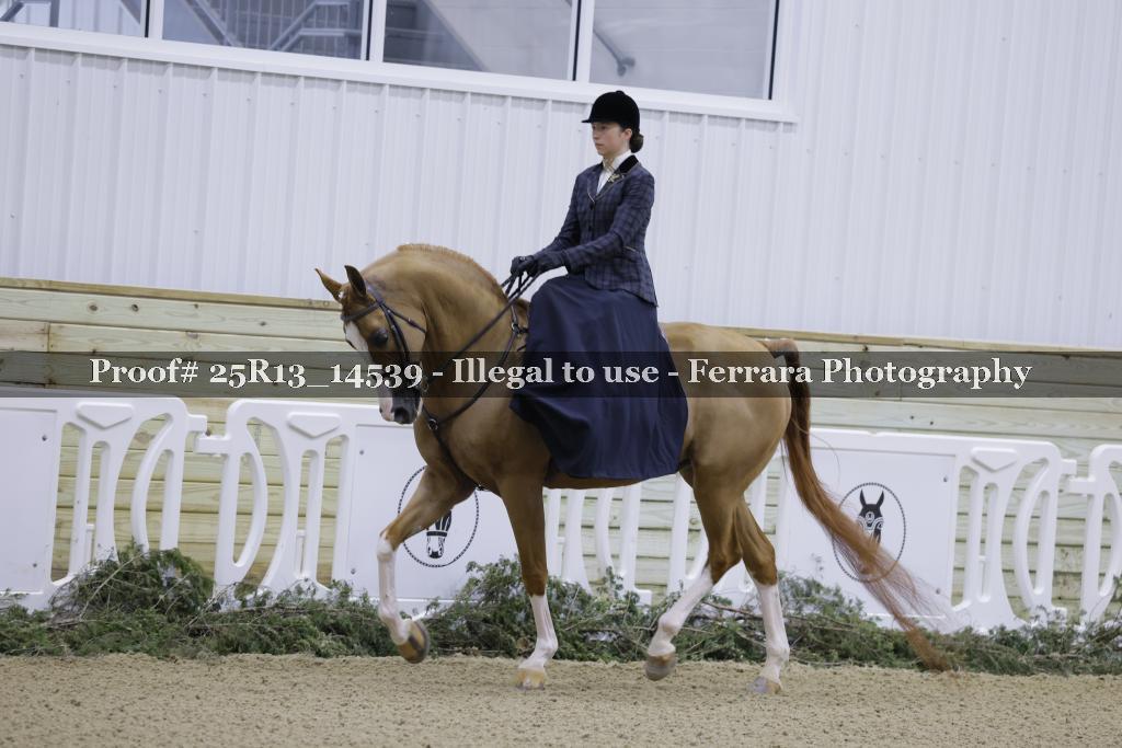 Proof 25R13_14539