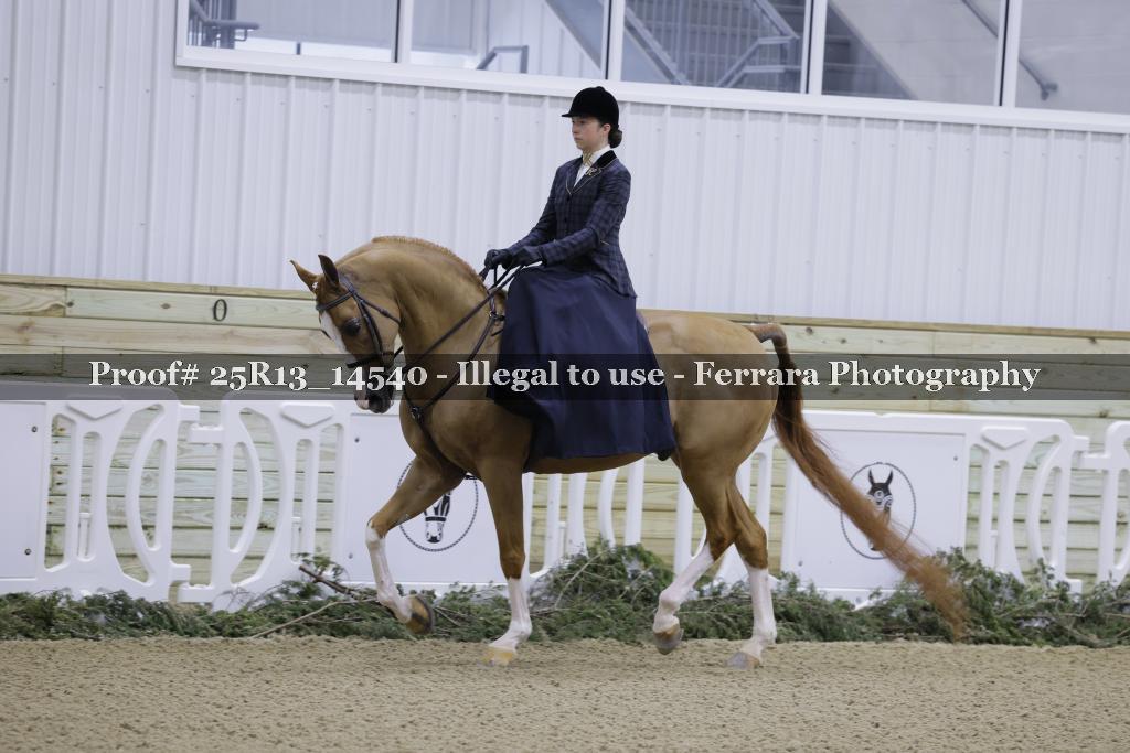 Proof 25R13_14540