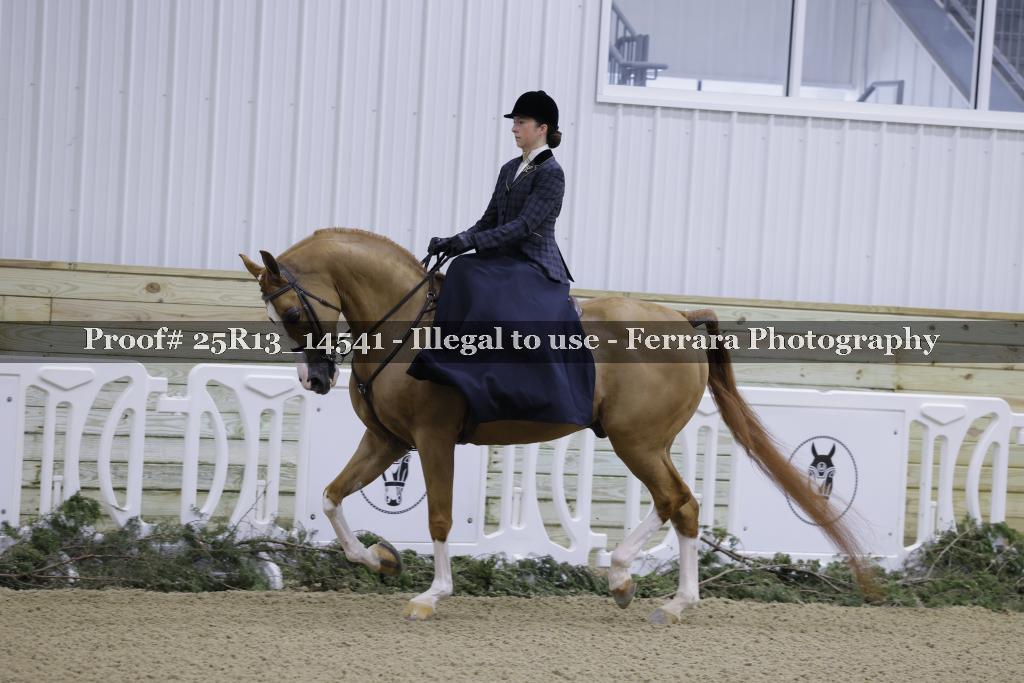 Proof 25R13_14541