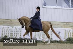 25R13_14541 proof