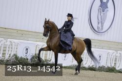 25R13_14542 proof