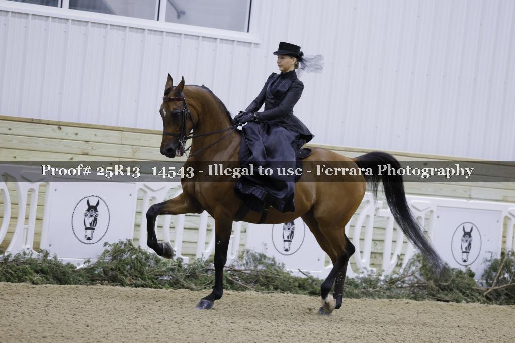 Proof 25R13_14543