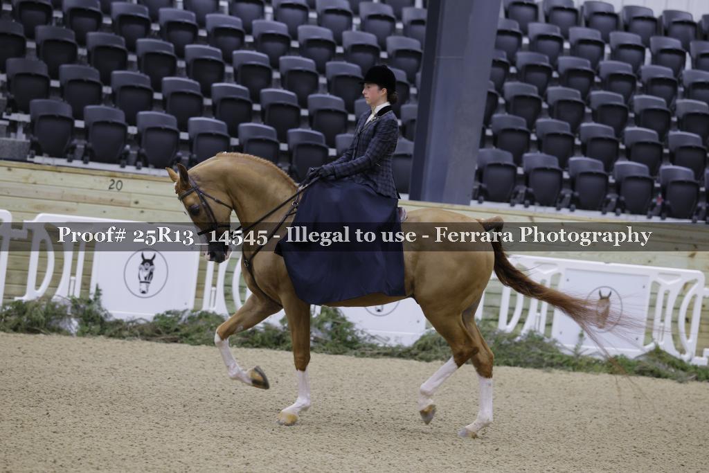 Proof 25R13_14545