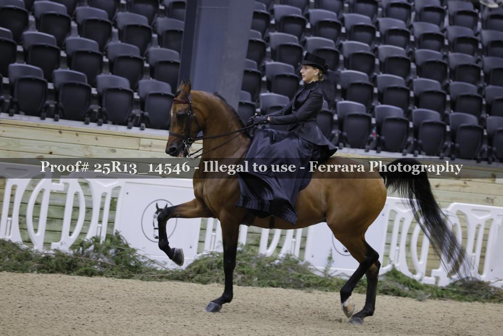 Proof 25R13_14546