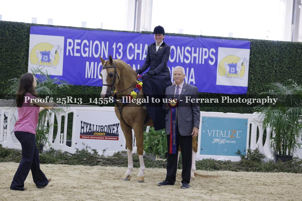 Proof 25R13_14558