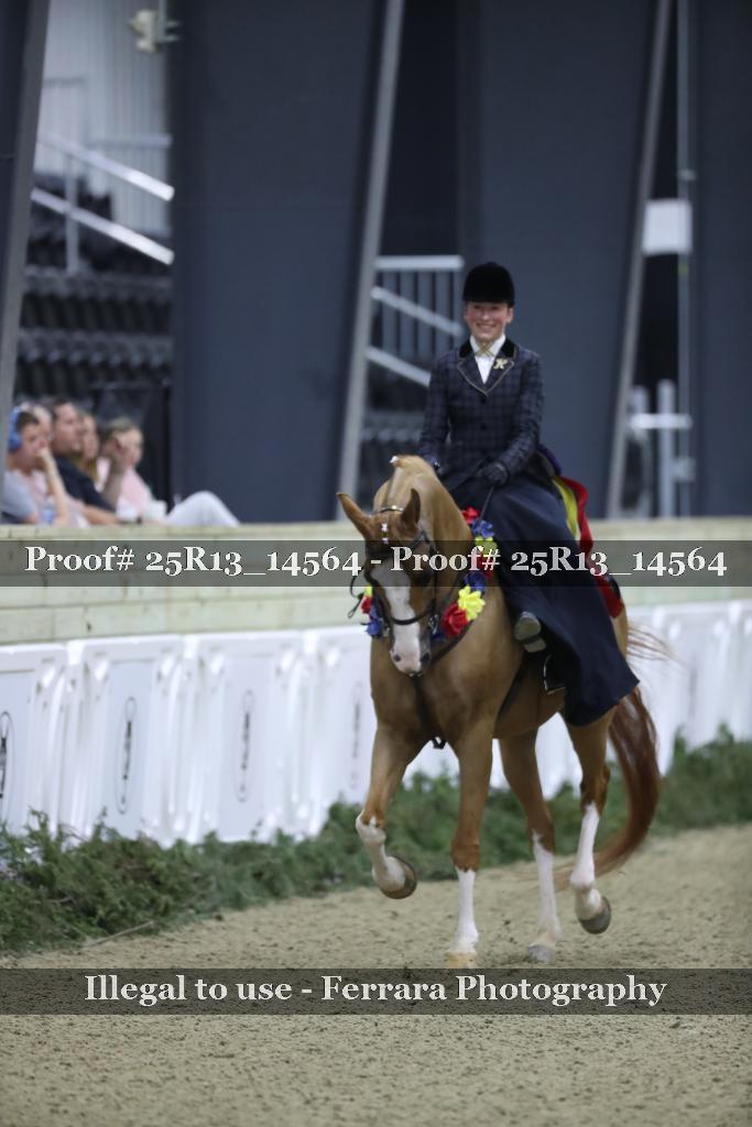 Proof 25R13_14564