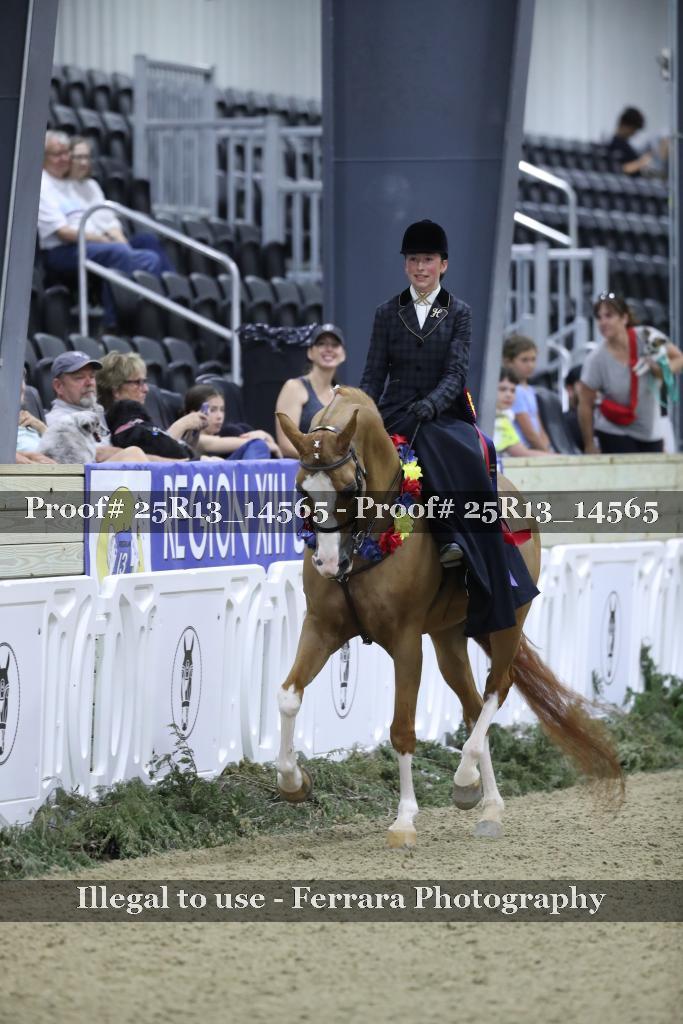 Proof 25R13_14565