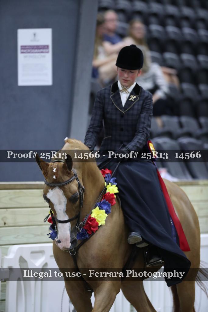 Proof 25R13_14566