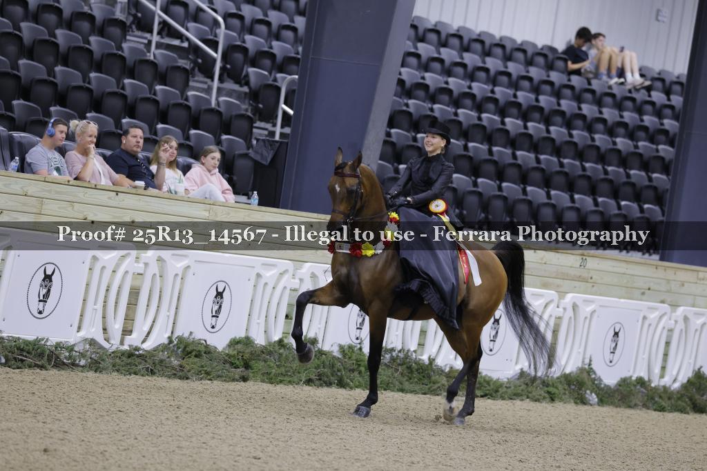 Proof 25R13_14567
