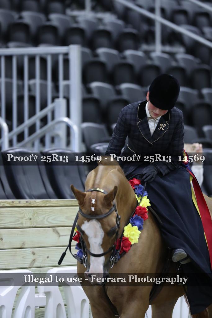 Proof 25R13_14569