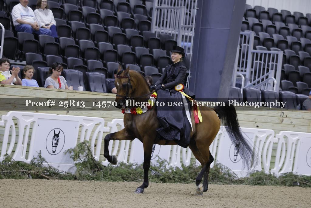 Proof 25R13_14570