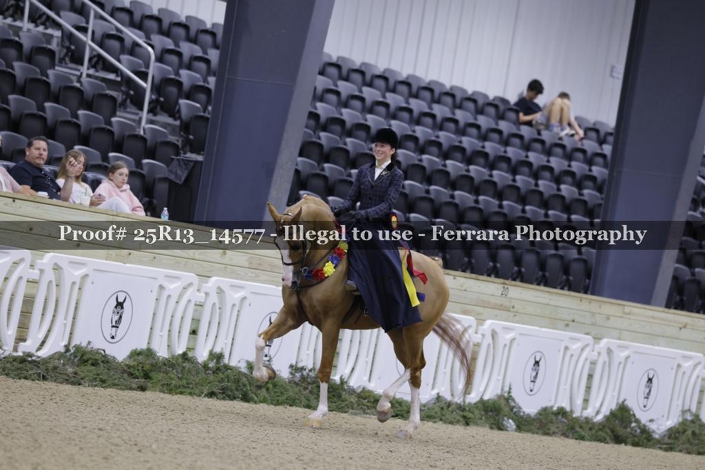 Proof 25R13_14577