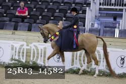 25R13_14582 proof