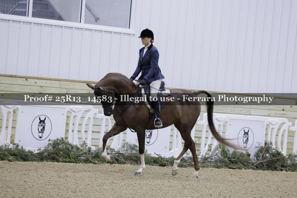 Proof 25R13_14583