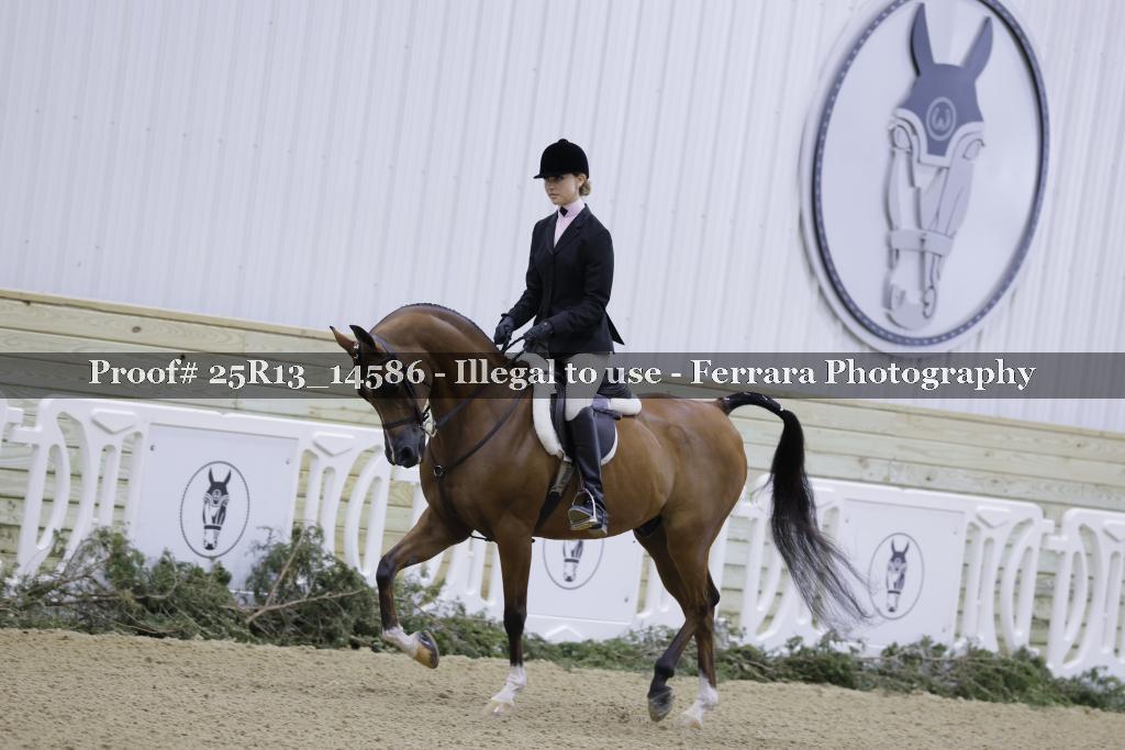 Proof 25R13_14586