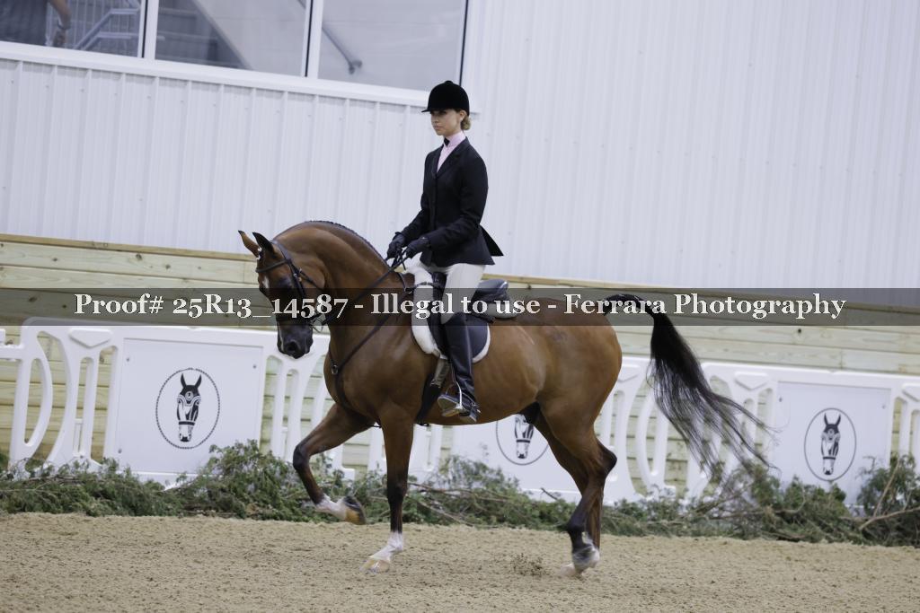 Proof 25R13_14587