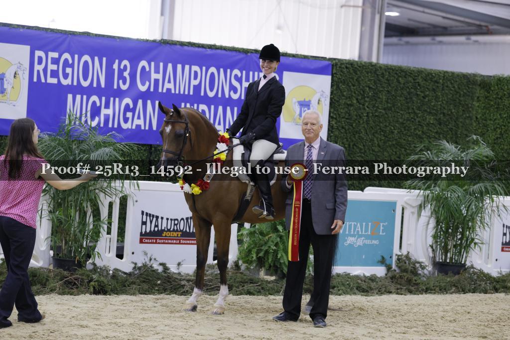 Proof 25R13_14592