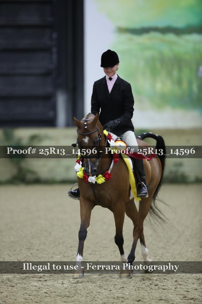 Proof 25R13_14596
