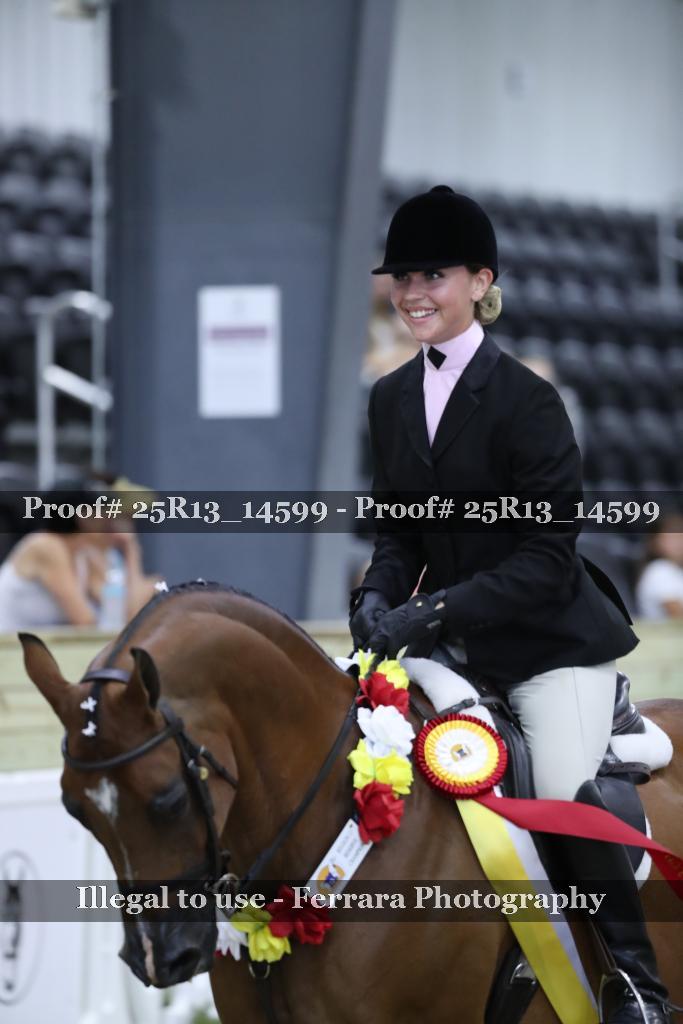 Proof 25R13_14599