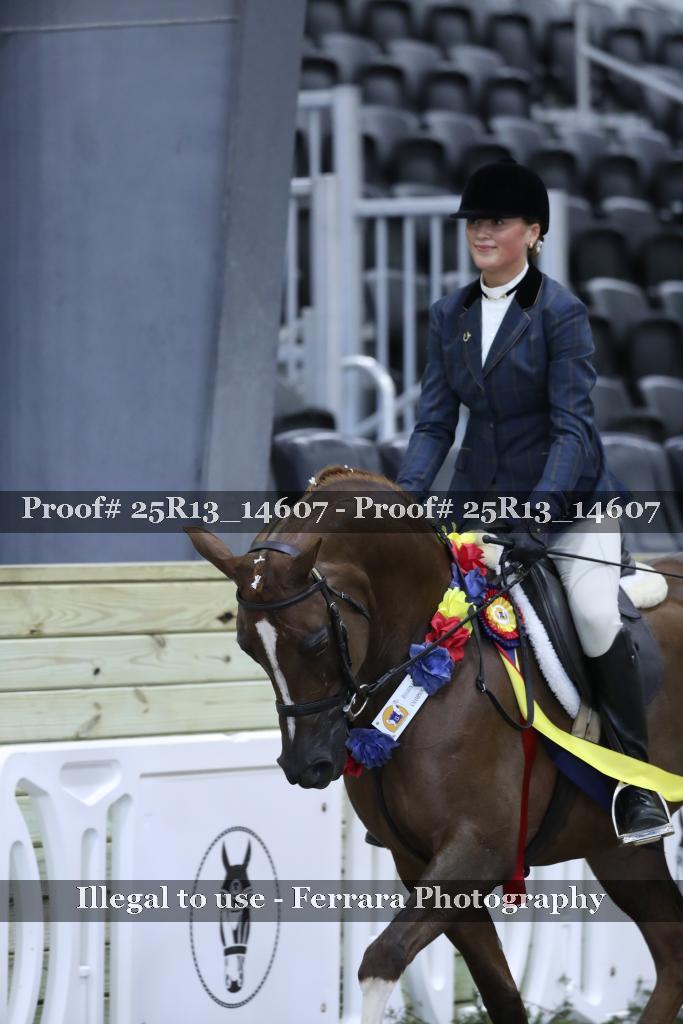 Proof 25R13_14607