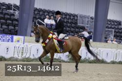 25R13_14612 proof