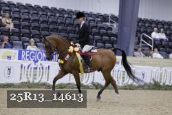 25R13_14613 proof