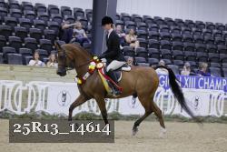 25R13_14614 proof