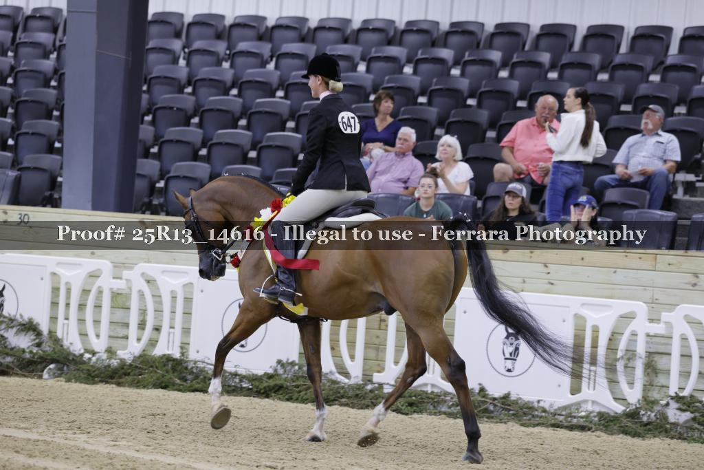 Proof 25R13_14616