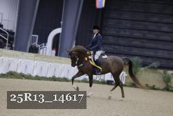 25R13_14617 proof