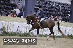 25R13_14619 proof