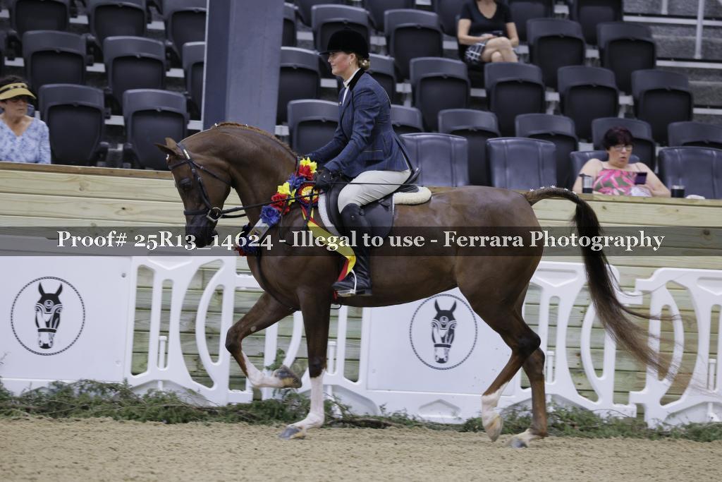 Proof 25R13_14624