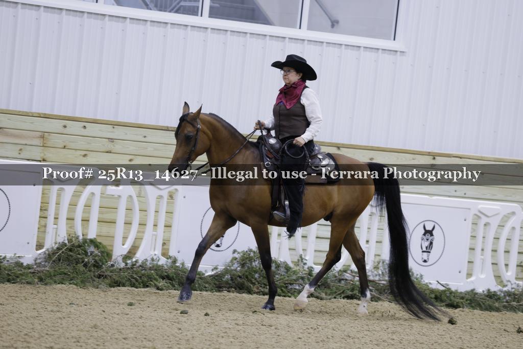 Proof 25R13_14627