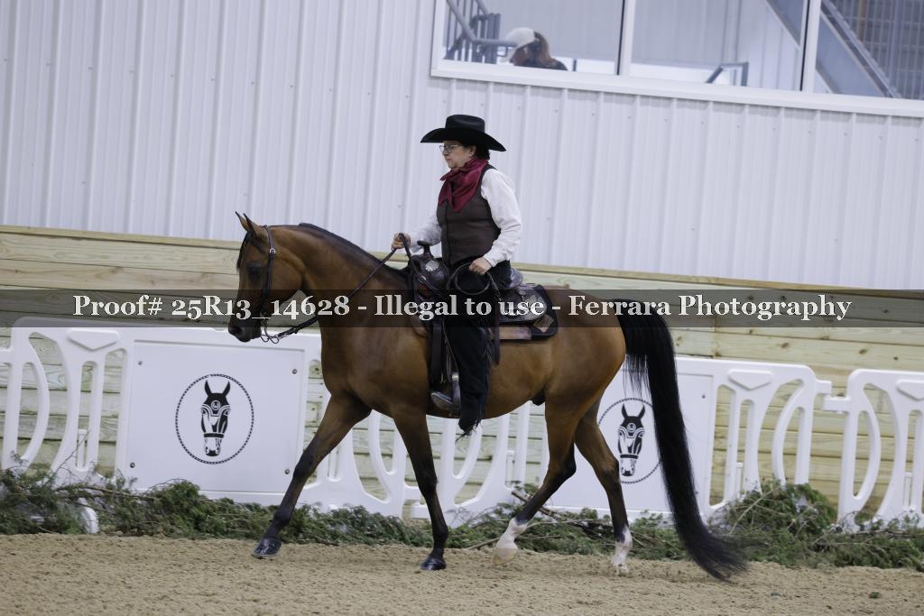 Proof 25R13_14628