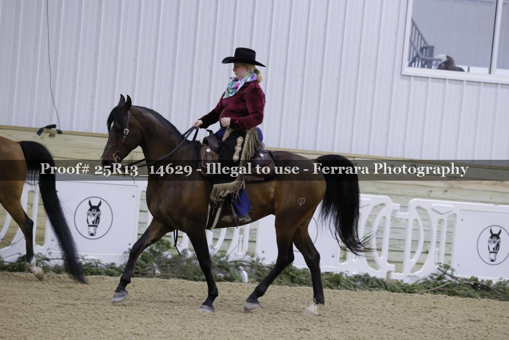 Proof 25R13_14629
