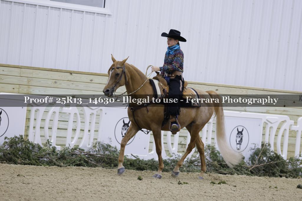 Proof 25R13_14630