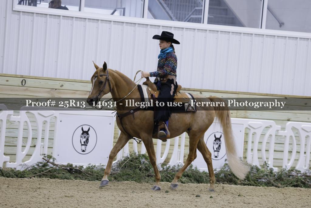 Proof 25R13_14631